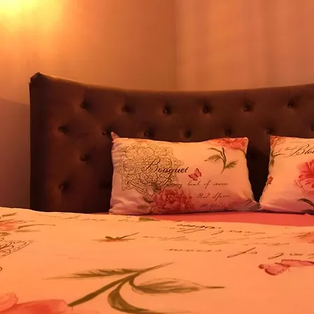 Apartment Sweet Pink By Miro